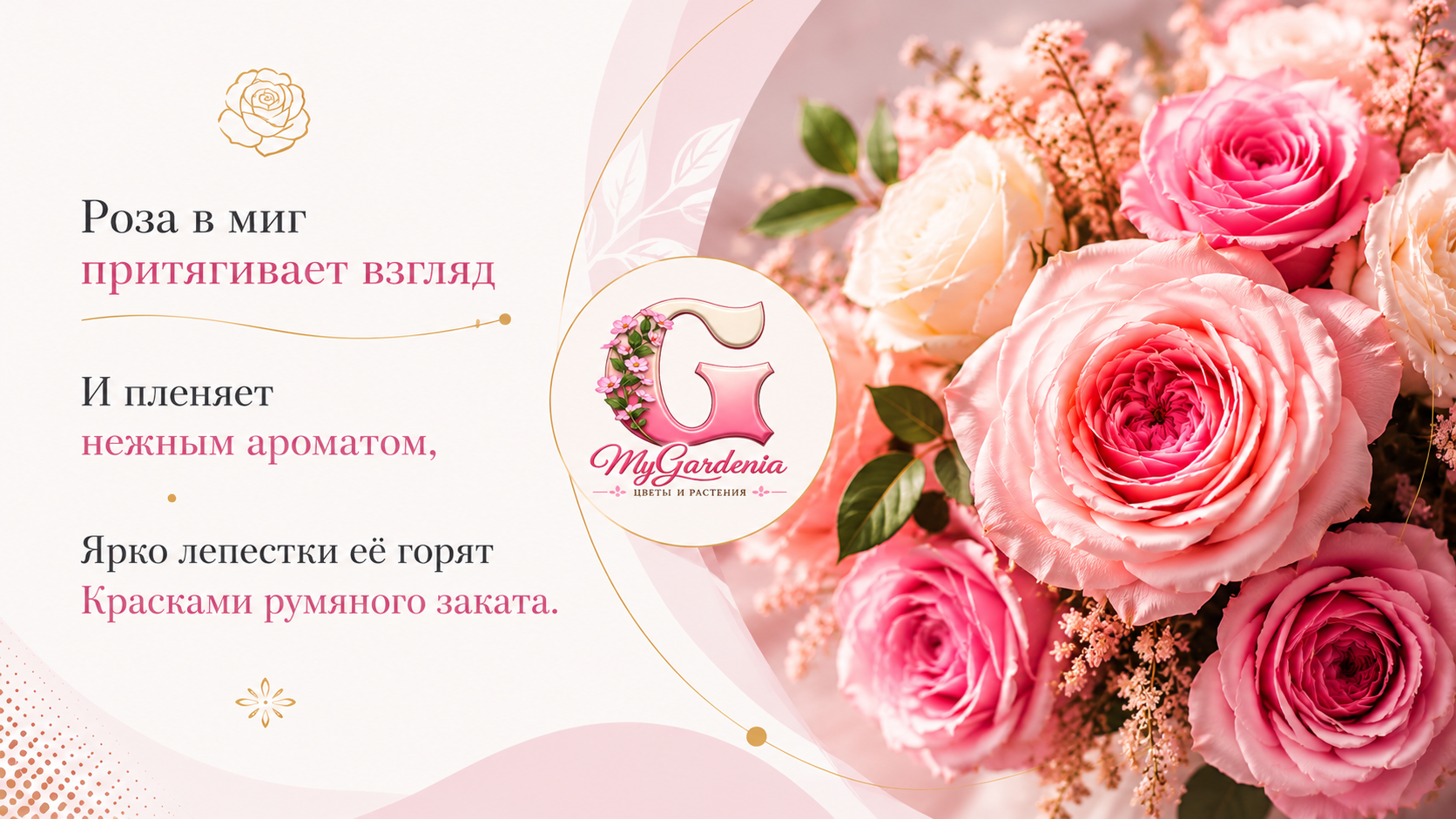 Розы