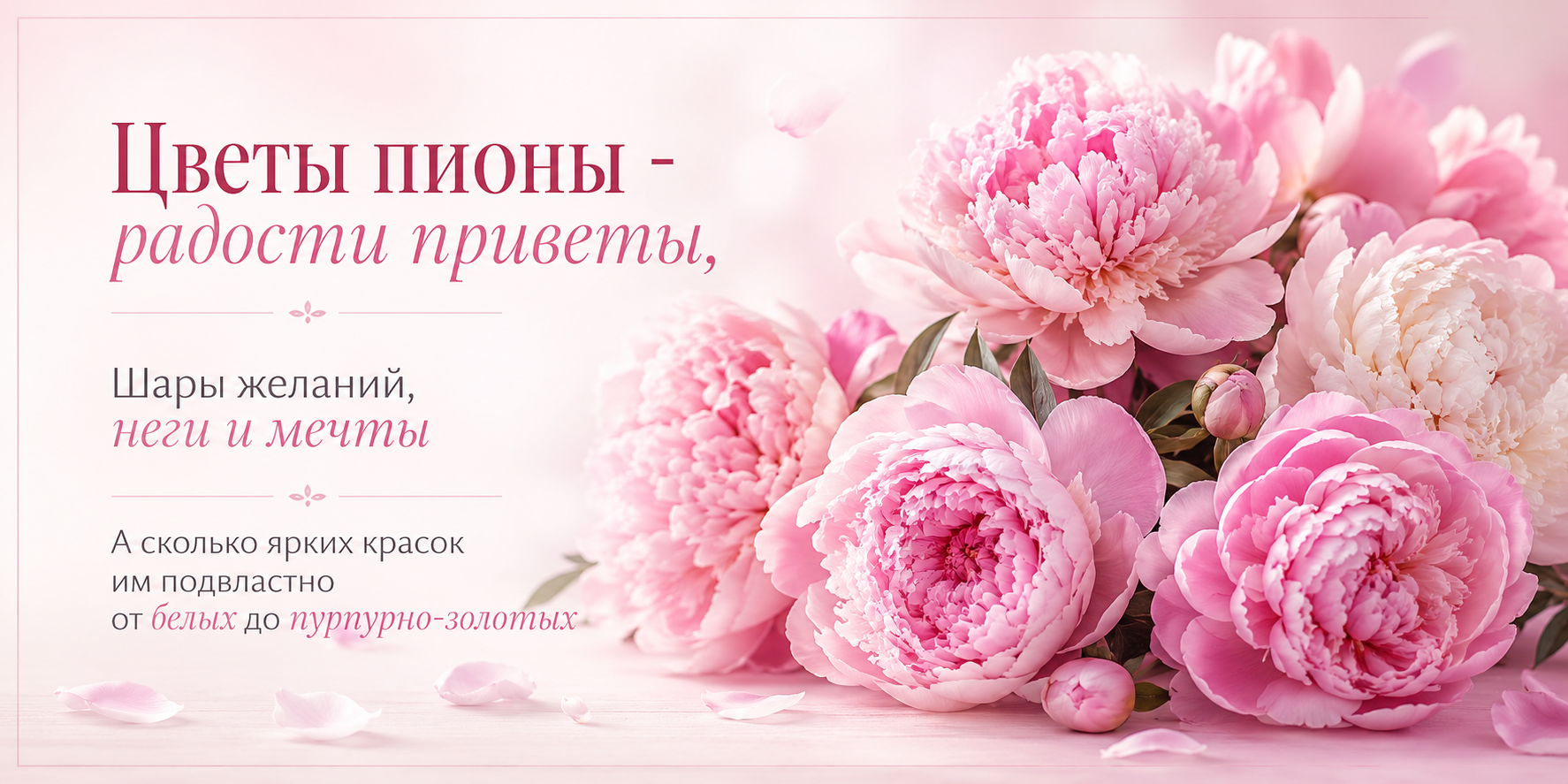 Пионы